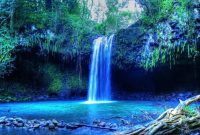 Tropical climate: what it is, types and its characteristics Tropical climate: what it is, types and its characteristics